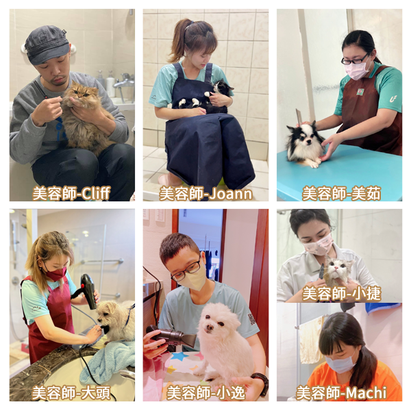 美容師團隊
